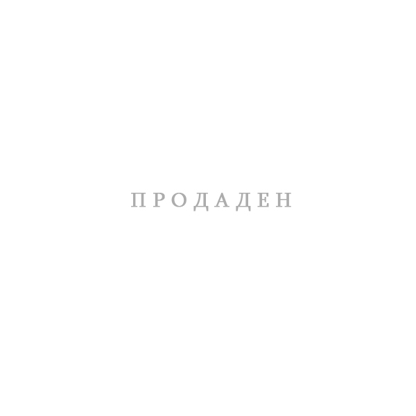 Картина "Бъдник" - Свилен Блажев